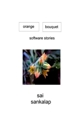 Orange Bouquet: Software Stories (English Edition)